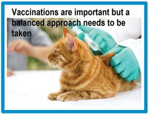 Decline in pet vaccinations in the UK