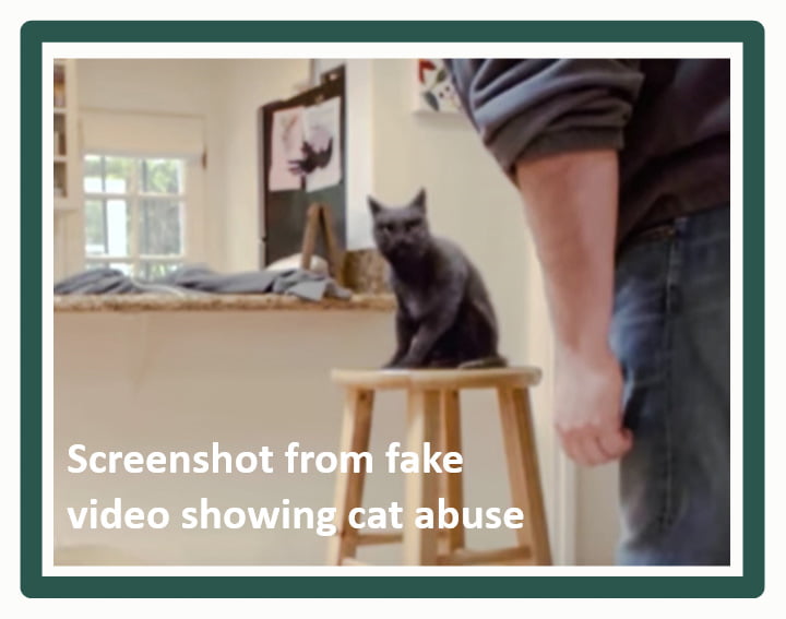 PETA wanted a fake cat abuse video to go viral to get their message across