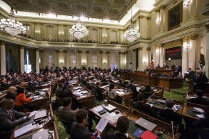 Pet Rescue and Adoption Act - Assembly Bill 485