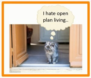 Is open plan living bad for cats?