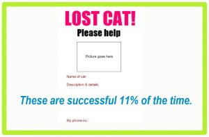 Lost my cat - how to find it?