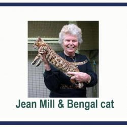 The bengal cat should not have been created