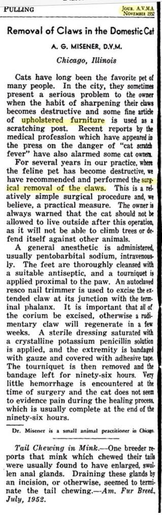 The beginning of cat declawing 1952