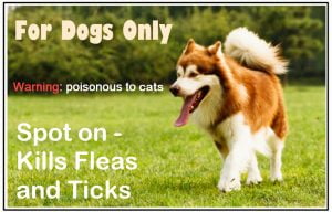 Dog flea treatment packaging needs to be changed to protect cats