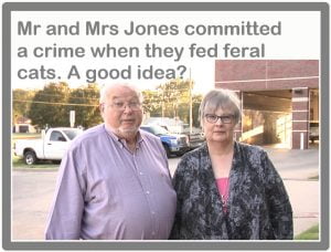 Couple committed a crime when they fed feral cats