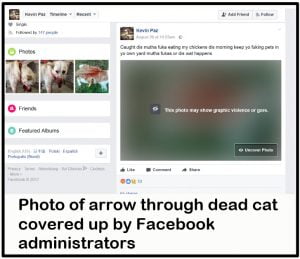 Fake Facebook page of "Kevin Paz" showing covered photo of dead cat