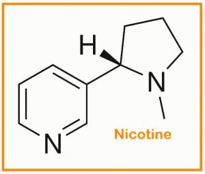 Nicotine is toxic to cats