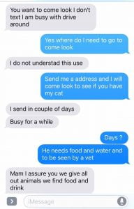 Text messages concerning lost cat and his recovery