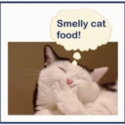 Smelly cat food