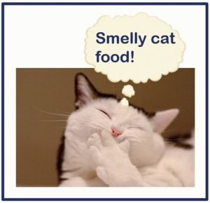 Smelly cat food