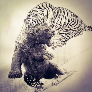 Tiger attacks bear