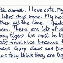 Essay on cat for class 1
