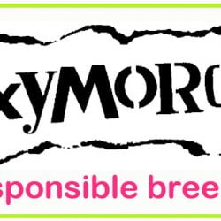 "responsible breeder" is an oxymoron