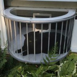 Tailormade cat window box