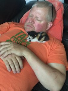Tiny kitten bewitches man who did not want her