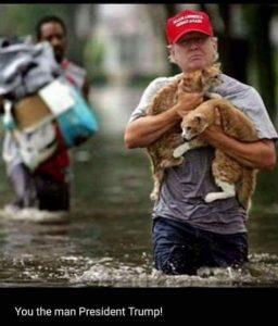 President Trump rescues cats from floodwater