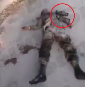 A cat eats a dead ISIS fighter on the outskirts of Raqqa, Syria