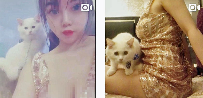 Narcissistic Asian woman who killed her cat on social media for fame