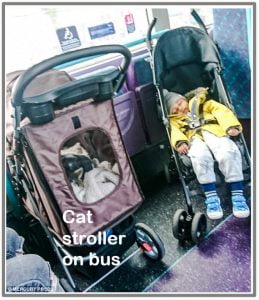 Cat stroller on bus caused toddler in pram to stand