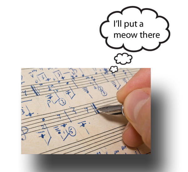 Do cats like music?