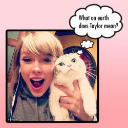 Do cats understand smiles?