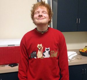How many cats does Ed Sheeran have?