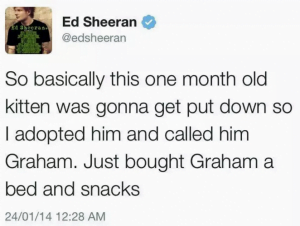 How many cats does Ed Sheeran have?