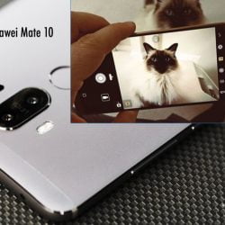 Huawei Mate 10 can distinguish between cats and dogs!