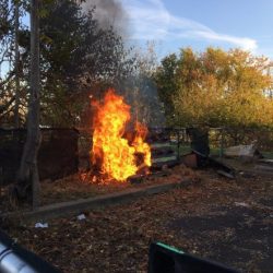 Arsonists burn down cat shelter