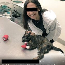 Sick woman smiles while the poor cat has been declawed and in pain. Horrible