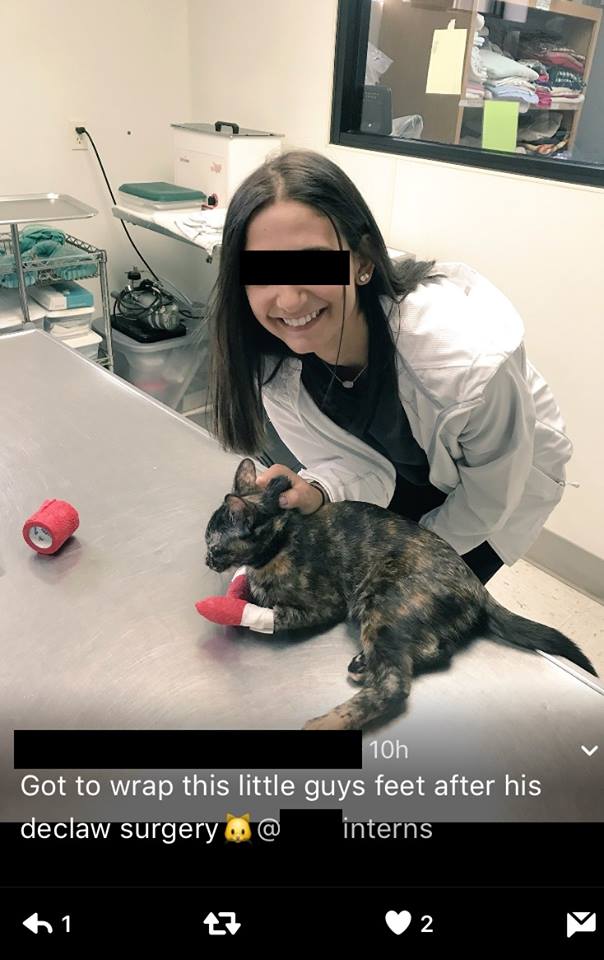 Sick woman smiles while the poor cat has been declawed and in pain. Horrible