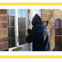 Burglar used cat story