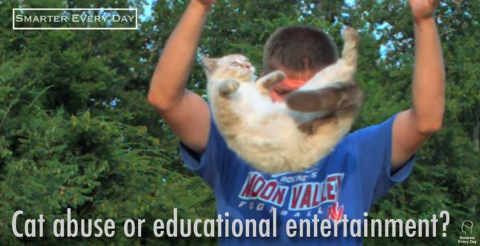Cat abuse or educational entertainment?