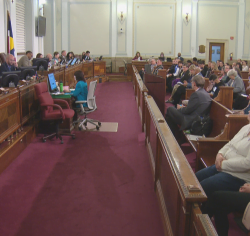 Denver council meeting on ban on declawing