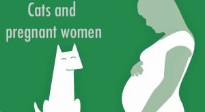 Cats and pregnant women