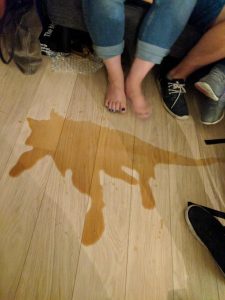 Coke spillage looks like a cat