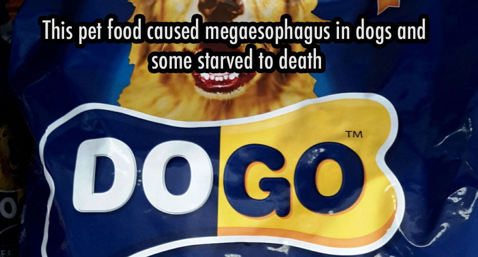 DoGo dog food