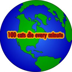 How many cats are dying right now