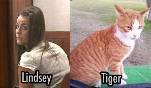 Kristen Lindsey and Tiger the cat she killed
