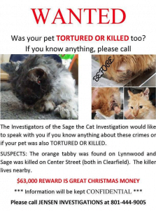 Poster on Sage the cat investigation