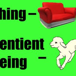 Animals are sentient beings.