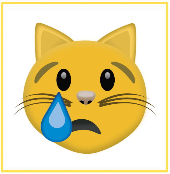Cat crying tears