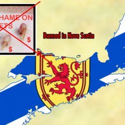 Declawing banned in Nova Scotia