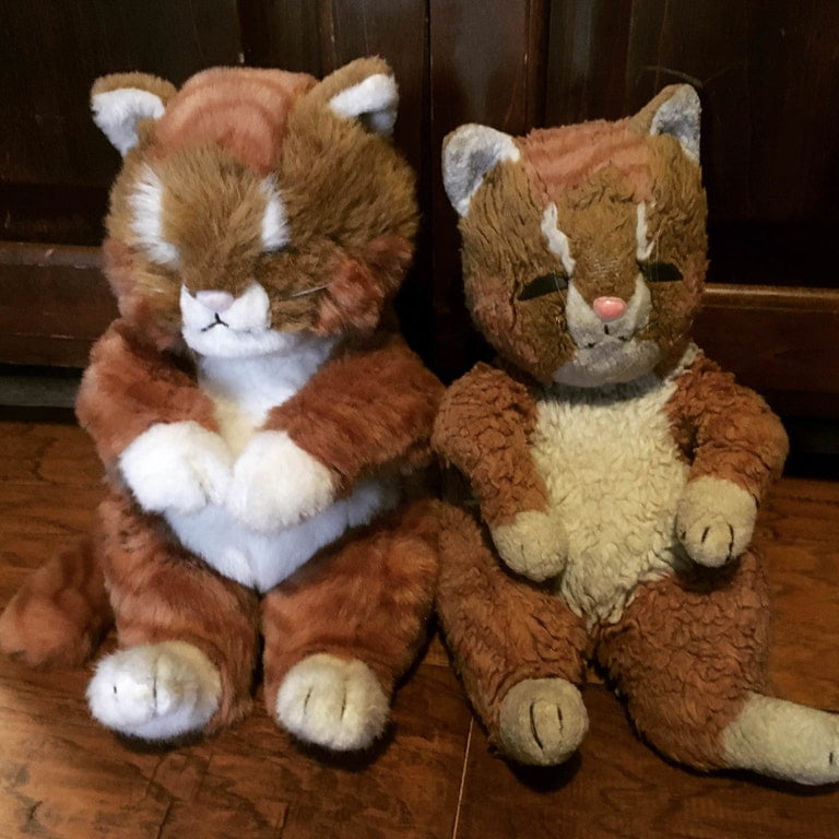 Two plush toy cats one old and one new