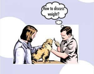 Veterinarians don't tackle cat obesity issues