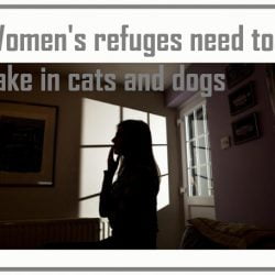 Women's refuges need to take in cats and dogs