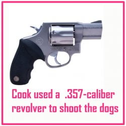 Cook shot the dogs with a .357 revolver