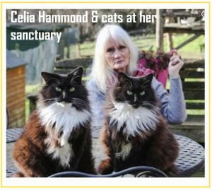 Hounds charge into Celia Hammonds cat sanctuary