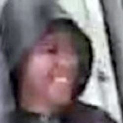 Photos of suspects who are believed to have abused and killed a cat