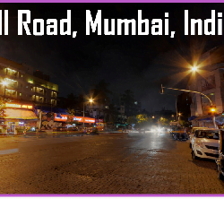 TNR of community cats in India